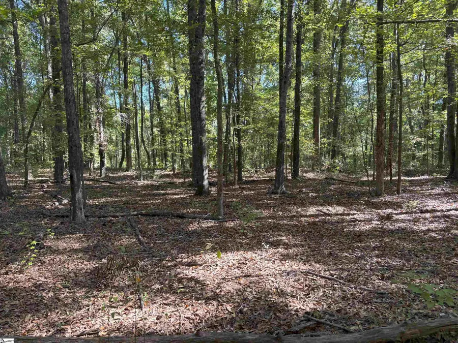 100 Hollywood Drive, Fountain Inn, SC 29644 - #3