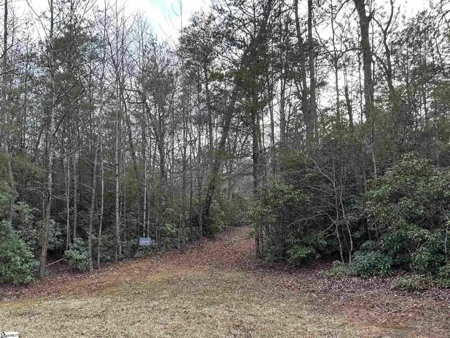105 Valley Lake Trail, Travelers Rest, SC 29690 - #2