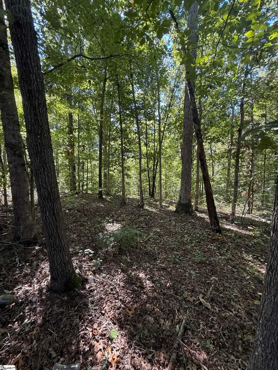 746 Breazeale Road, Liberty, SC 29657 - #2