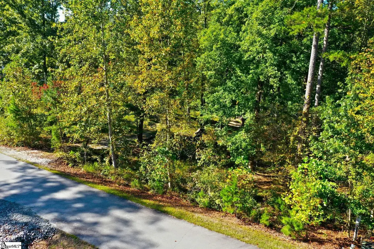 20 Towson Trail, West Union, SC 29696 - #1