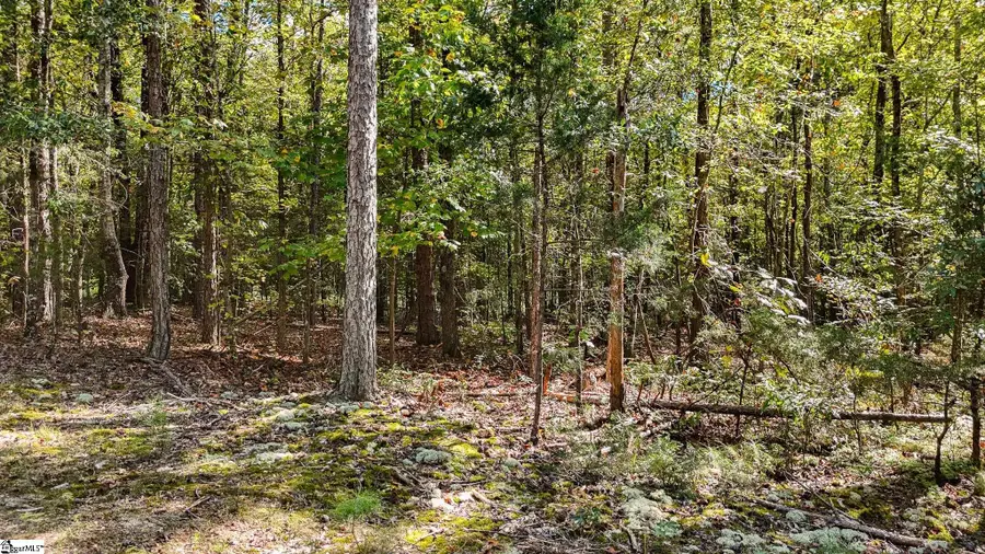 00 Peden Road, Fountain Inn, SC 29644 - #2