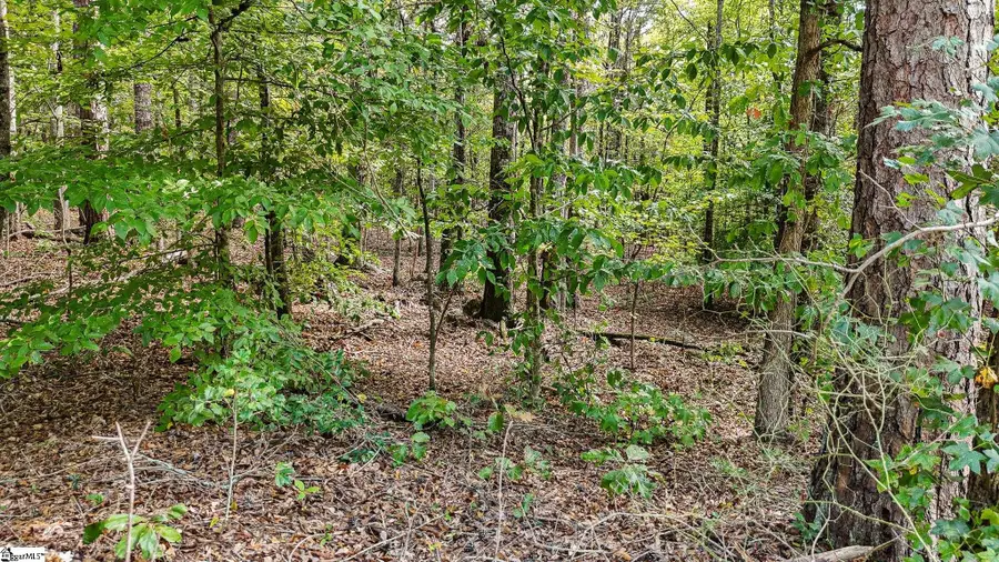 00 Peden Road, Fountain Inn, SC 29644 - #3