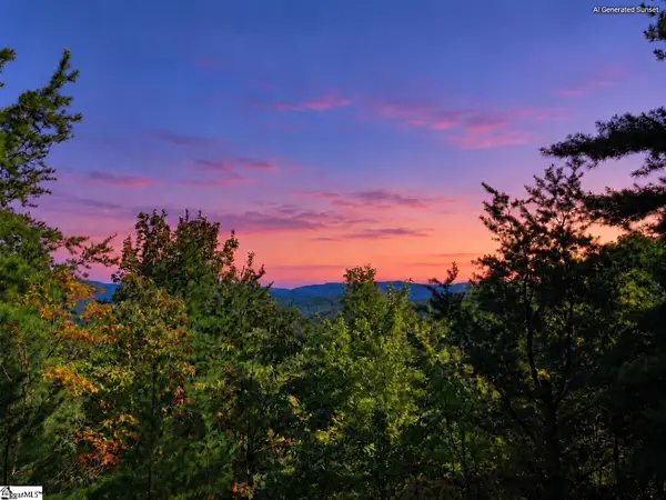 217 Buttercup Way, Sunset, SC 29685