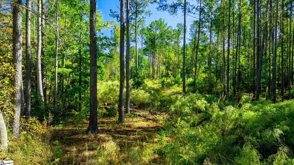 Address Withheld By Seller, Easley, SC 29640
