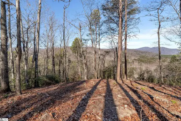 198 Wood Violet Trail, Marietta, SC 29661