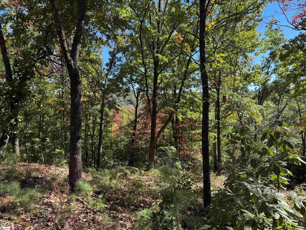 Speckled Grouse Way, Marietta, SC 29661 - #1