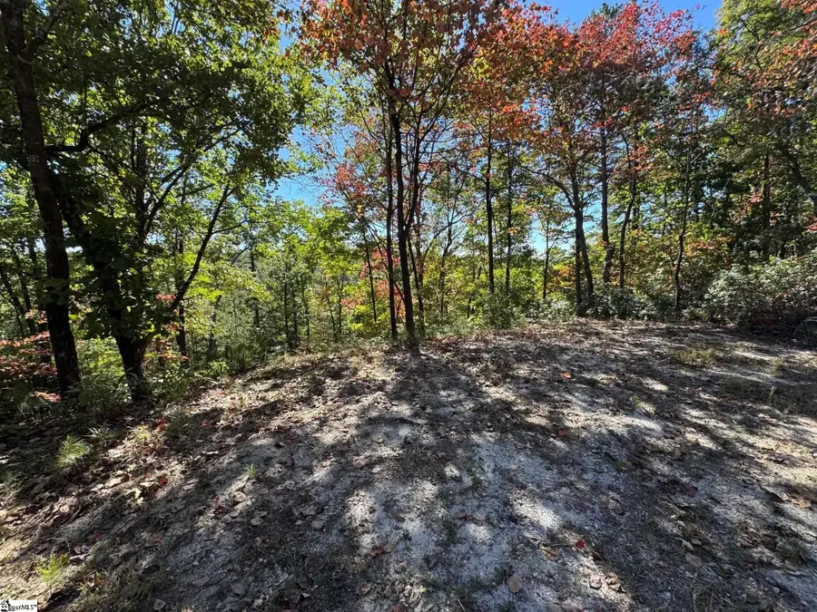 Speckled Grouse Way, Marietta, SC 29661 - #2