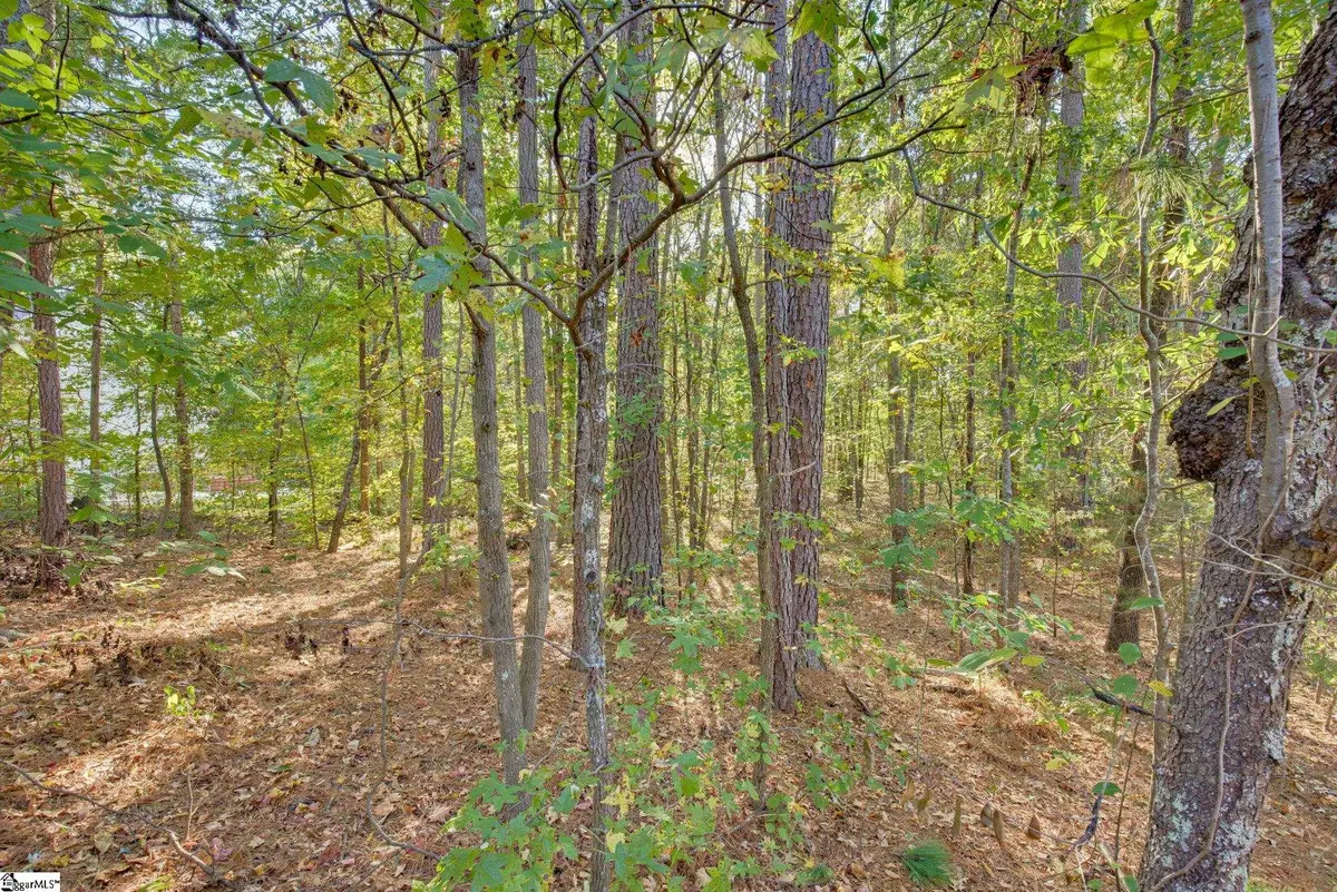 6 Rabon Chase Court, Fountain Inn, SC 29644-8633 - #1