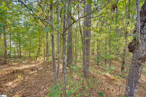 6 Rabon Chase Court, Fountain Inn, SC 29644-8633