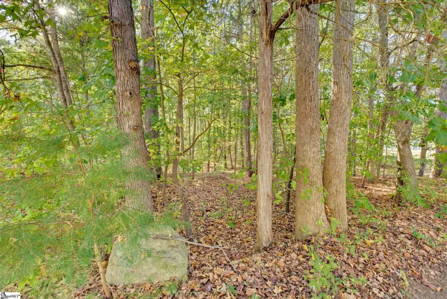 6 Rabon Chase Court, Fountain Inn, SC 29644-8633 - #2