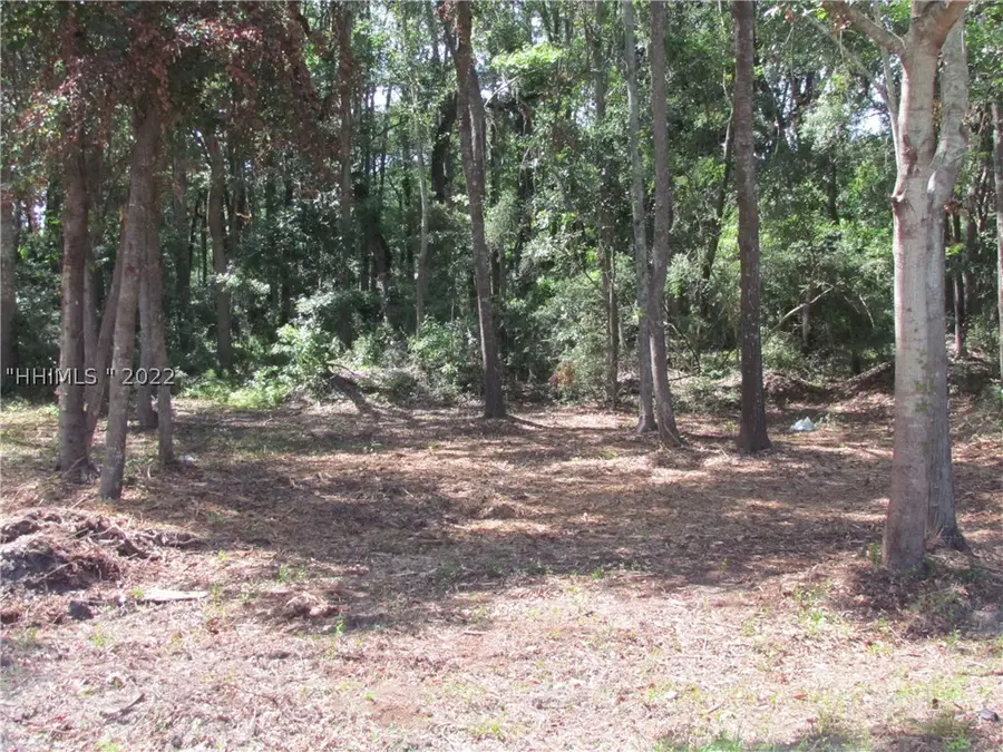 590 Robert Smalls Parkway, Beaufort, SC 29906 - #2