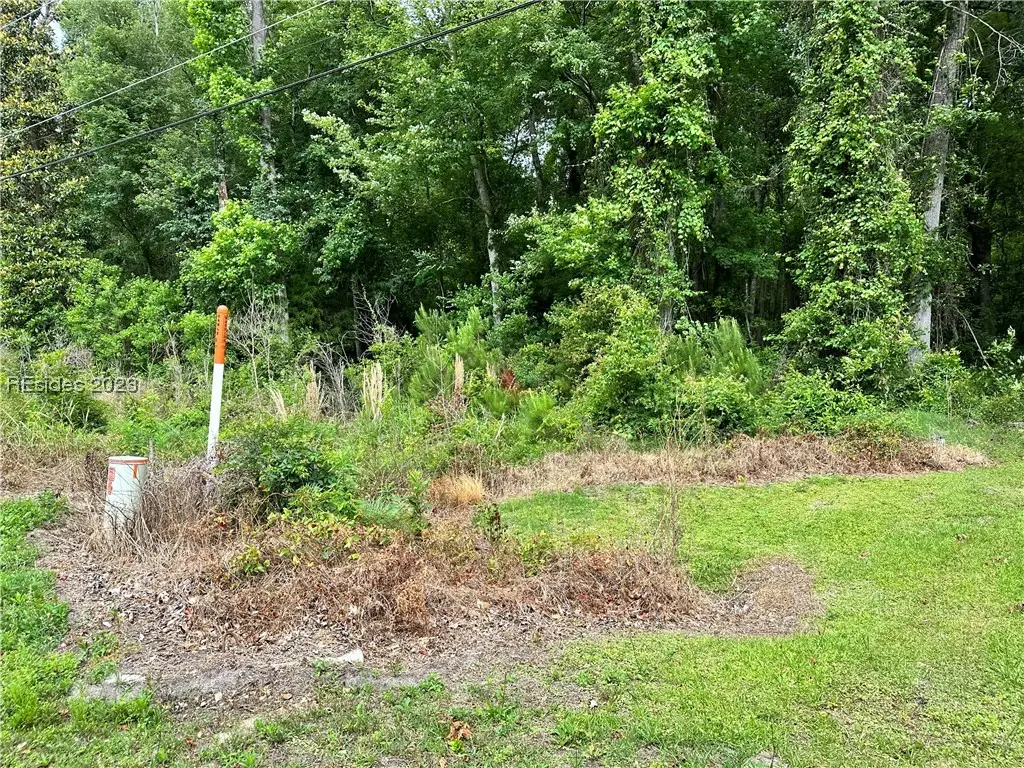 Lot 3 Goethe Hill Road, Burton, SC 29906 - Image #1