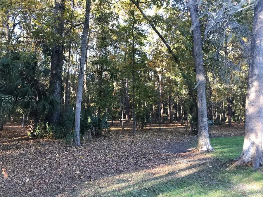 1090 Haig Point Road, Daufuskie Island, SC 29915 - Image #3