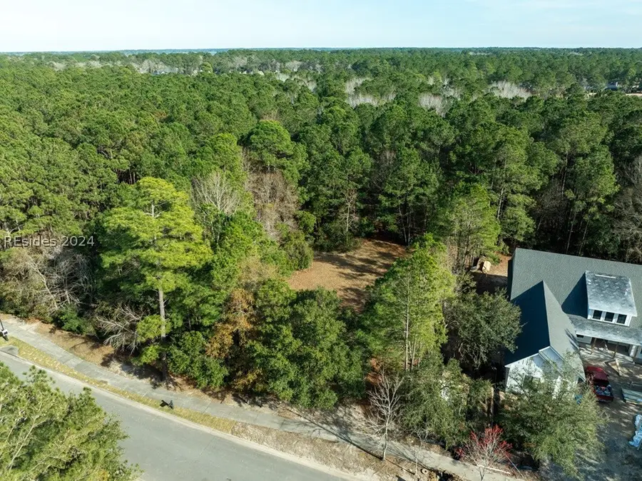 319 Good Hope Road, Okatie, SC 29909 - #2