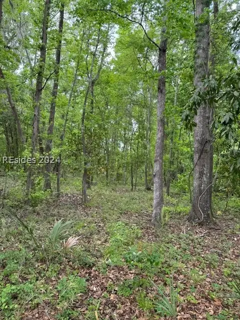 335 Charleston Highway, Yemassee, SC 29945 - #2