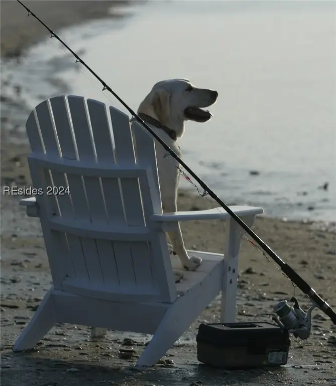 284 Oakridge Lane, Daufuskie Island, SC 29915 - Image #2