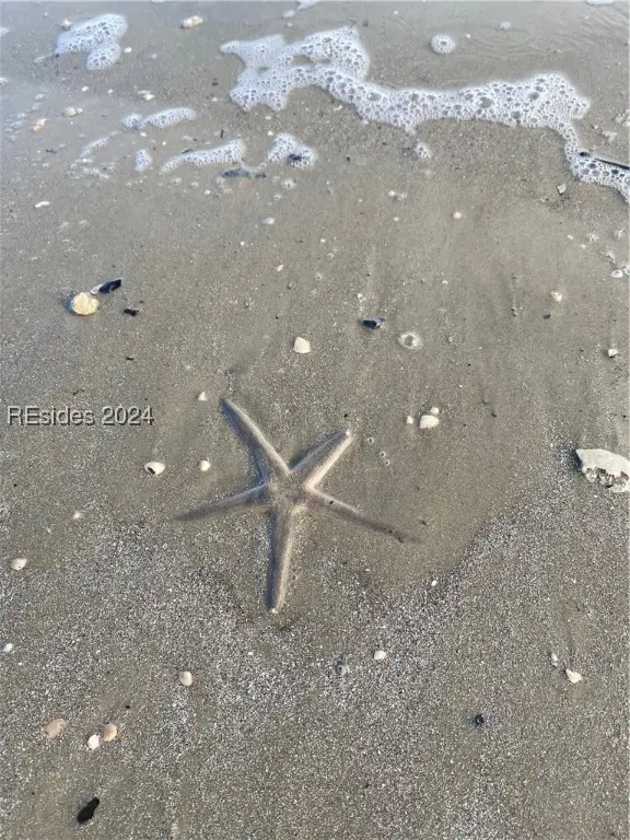 43 Beauregard Boulevard, Daufuskie Island, SC 29915 - Image #3