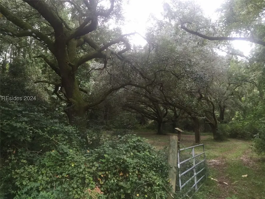 9939 Tarboro Road, Ridgeland, SC 29936 - Image #3