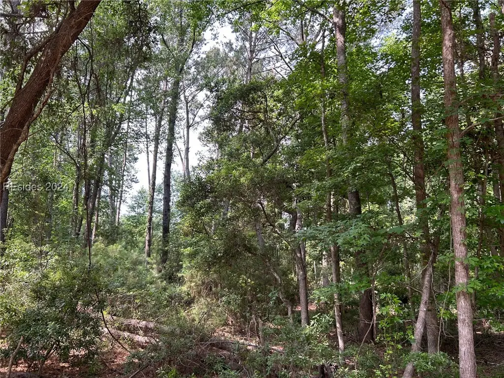 114 Cooper River Landing Road, Daufuskie Island, SC 29915 - Image #1