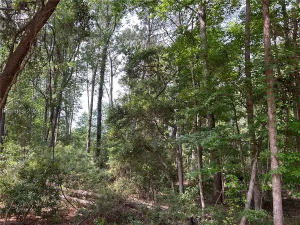 114 Cooper River Landing Road, Daufuskie Island, SC 29915