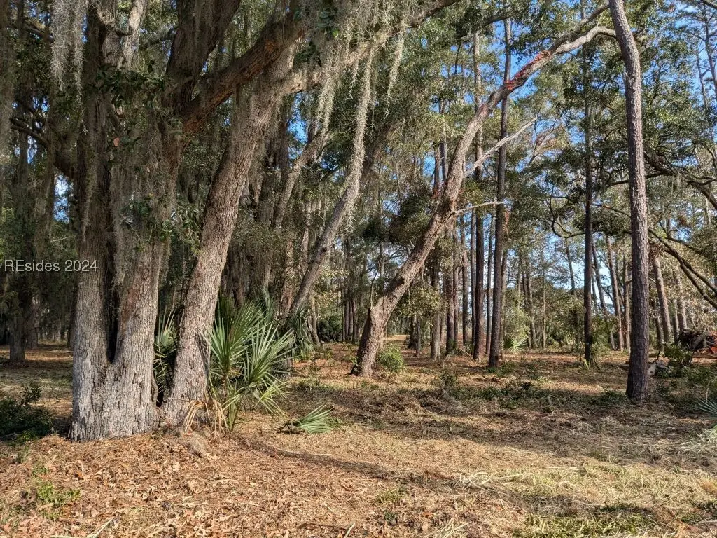 41 River Road, Daufuskie Island, SC 29915 - Image #1