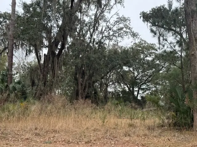 22 S Range Overlook, Daufuskie Island, SC 29915 - Image #2