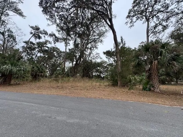 22 S Range Overlook, Daufuskie Island, SC 29915 - Image #3