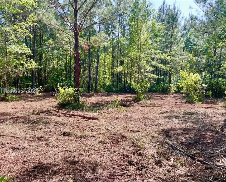 505 Sisters Ferry Road, Ridgeland, SC 29936 - Image #1