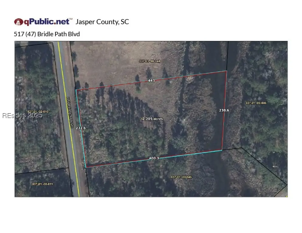 517 Bridle Path Boulevard, Hardeeville, SC 29927 - Image #1