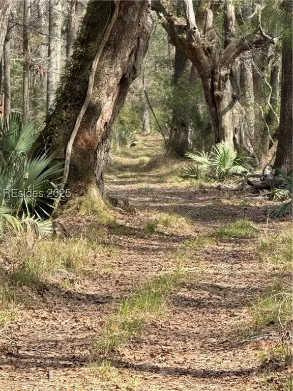 TBD Dressen Road, Hardeeville, SC 29927 - Image #1