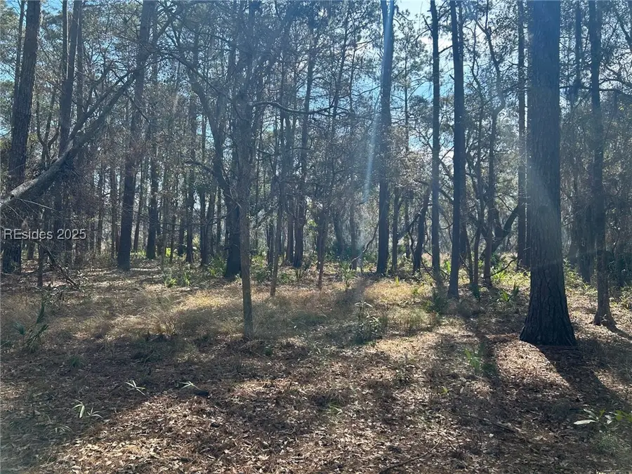 14 Captain Monroe Lane, Daufuskie Island, SC 29915 - Image #3