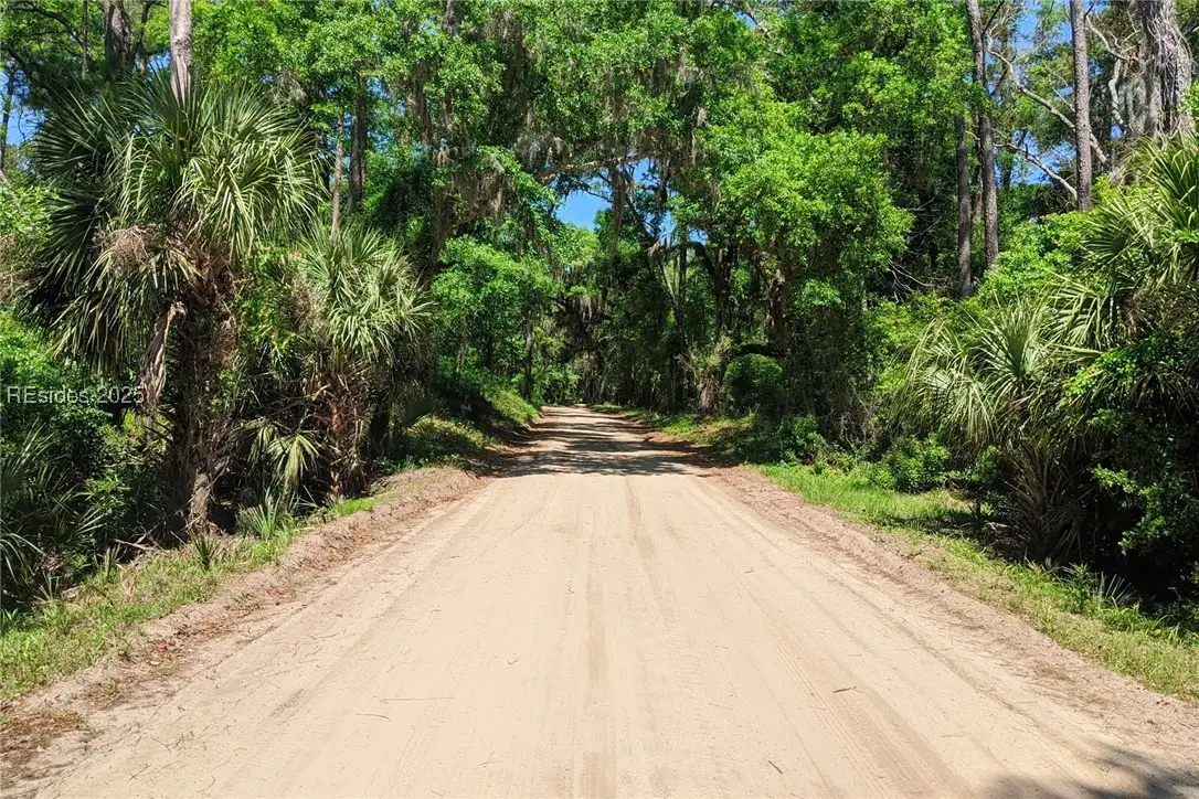 39 Church Rd, Daufuskie Island, SC 29915 - Image #1