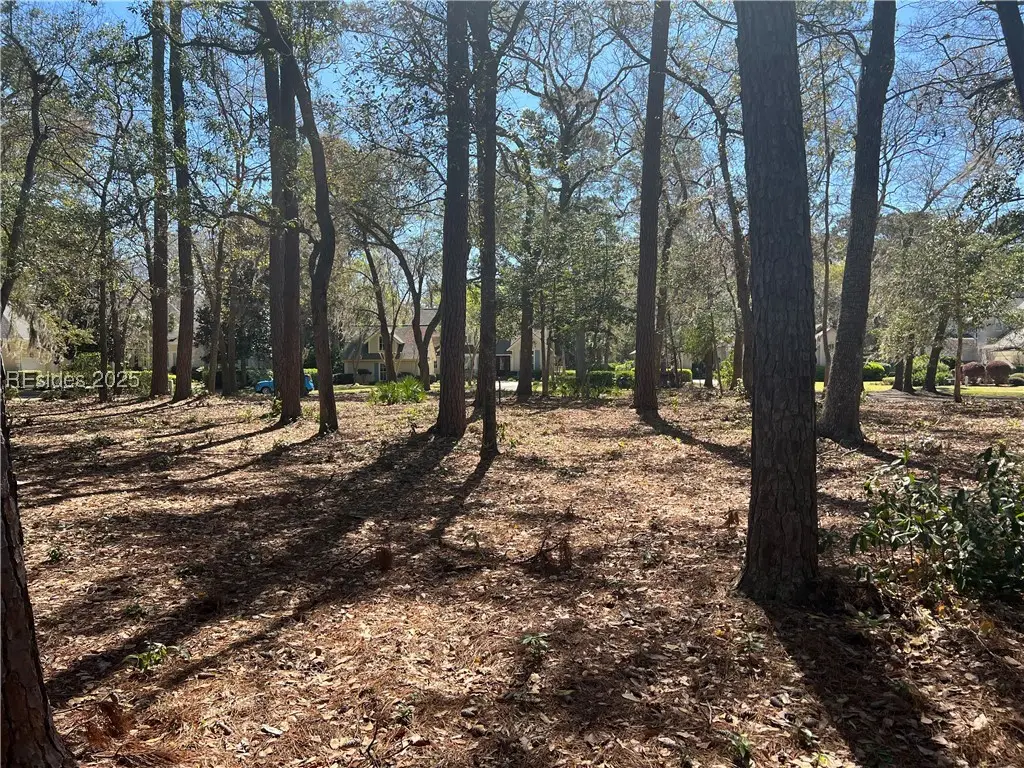 667 Colonial Drive, Hilton Head Island, SC 29926 - Image #1