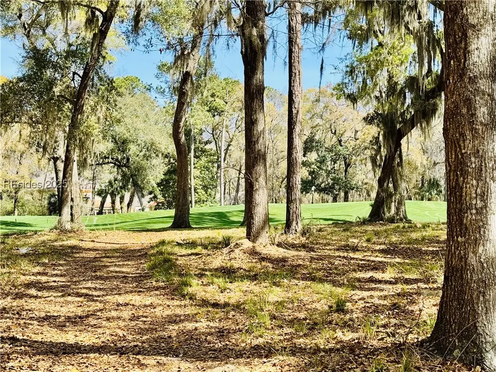 60 Forest Lake Drive, Daufuskie Island, SC 29915 - Image #1