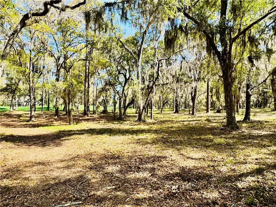 60 Forest Lake Drive, Daufuskie Island, SC 29915 - Image #2