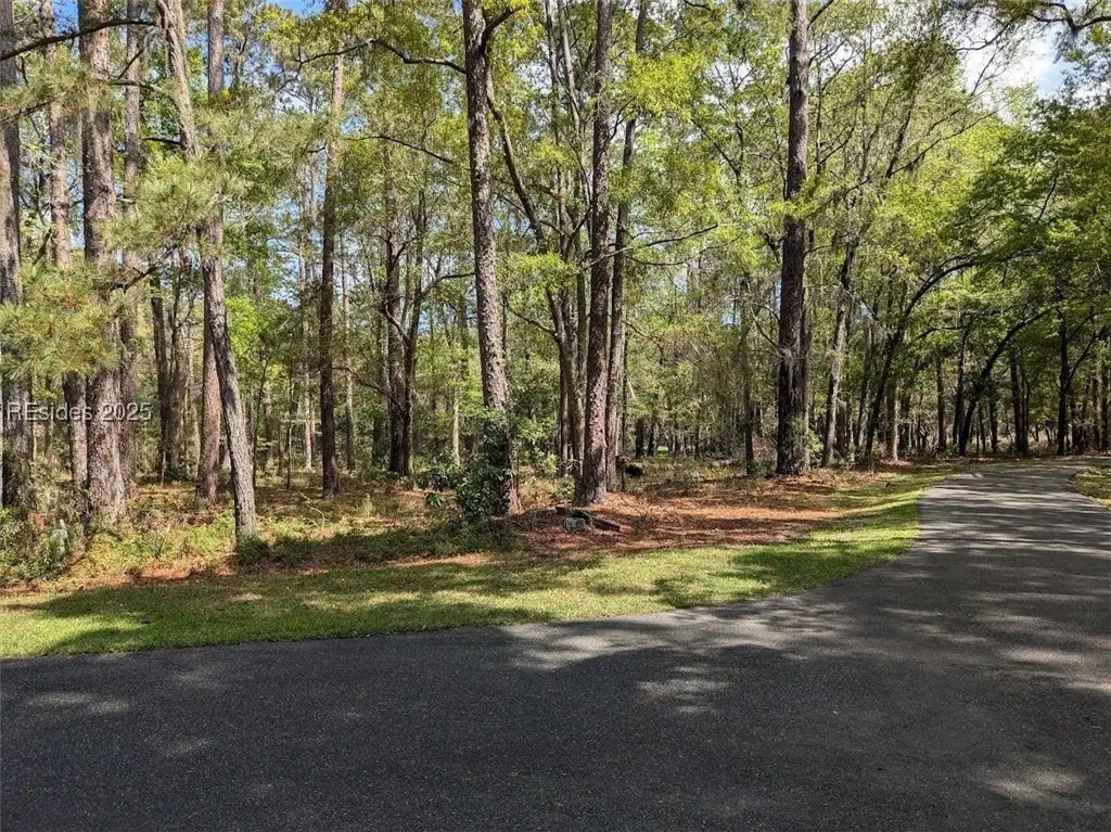 15 Masters Drive, Daufuskie Island, SC 29915 - Image #1