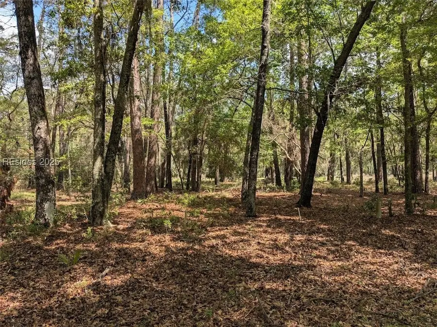 15 Masters Drive, Daufuskie Island, SC 29915 - Image #3