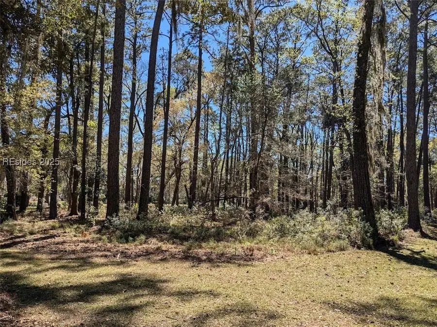 30 Volunteers Ridge, Daufuskie Island, SC 29915 - Image #2