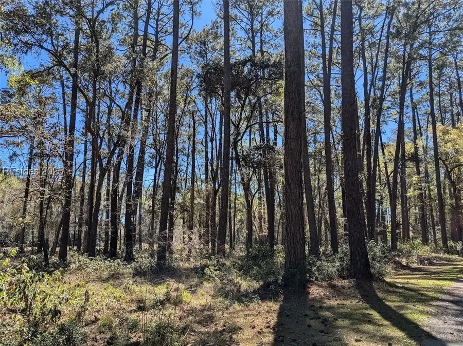 30 Volunteers Ridge, Daufuskie Island, SC 29915 - Image #3