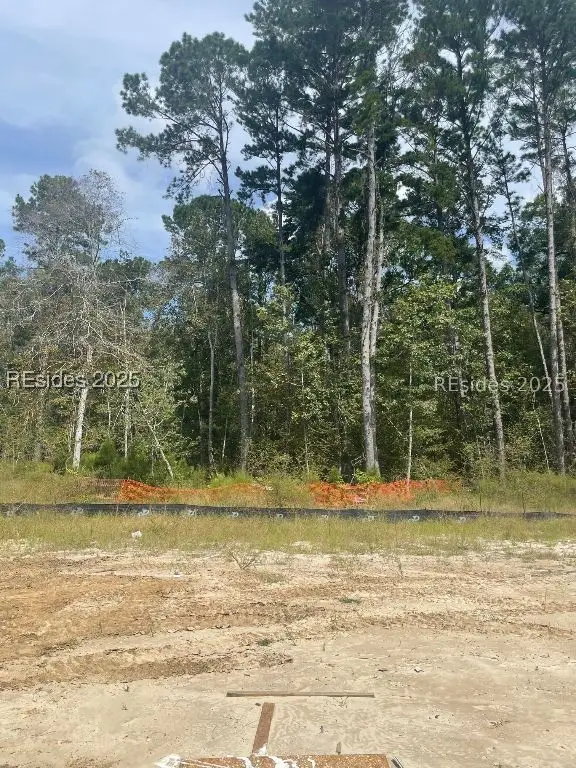 336 Hill Pond Road, Bluffton, SC 29910 - Image #2