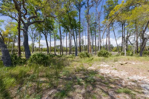 47 Beauregard Blvd, Daufuskie Island, SC 29915