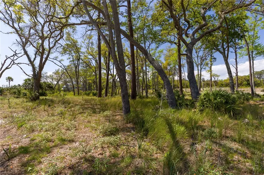 47 Beauregard Blvd, Daufuskie Island, SC 29915 - Image #2