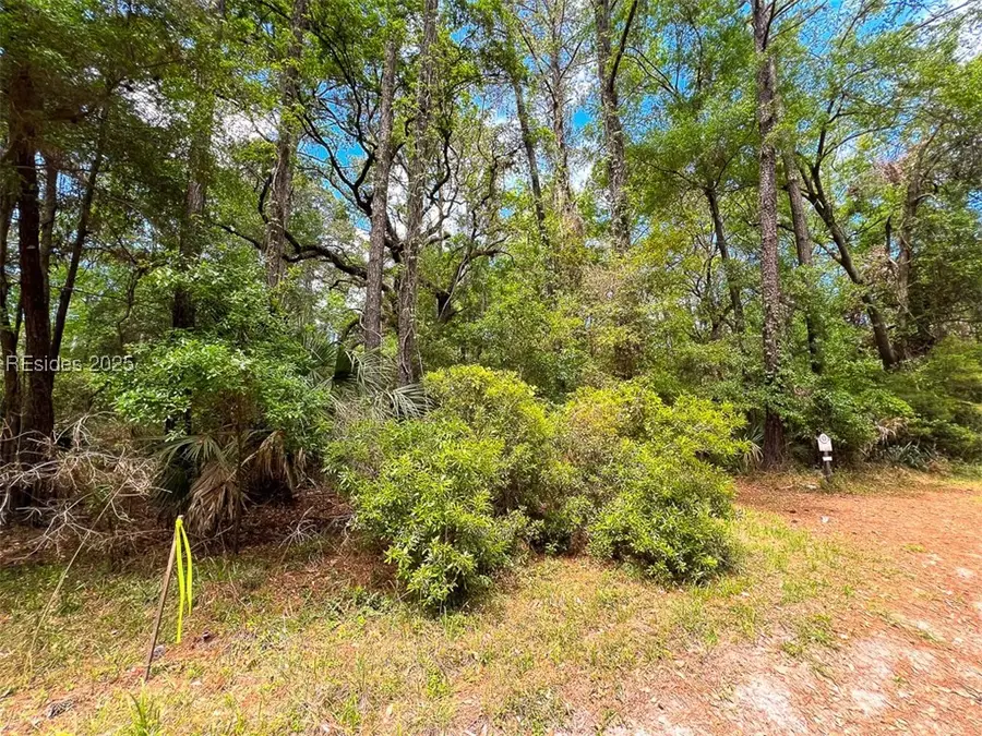 259 Old Haig Point Road, Daufuskie Island, SC 29915 - Image #3