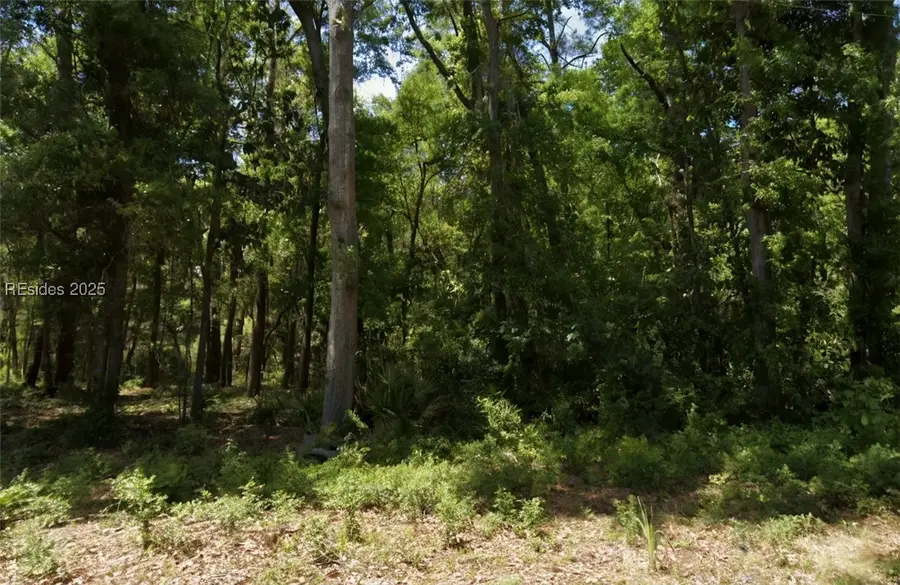 54 Pritchard Street, Bluffton, SC 29910 - Image #2