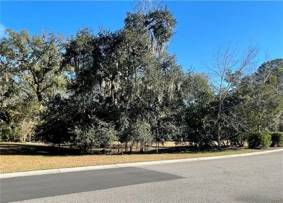 242 S Farnsleigh Ave, Bluffton, SC 29910 - Image #2