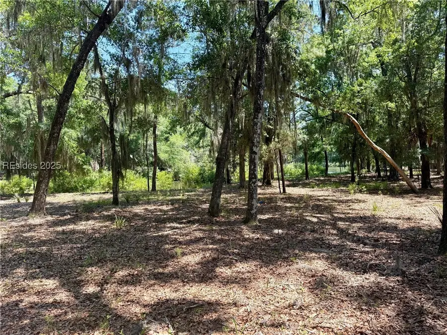 25 Carnoustie Ct, Daufuskie Island, SC 29915 - Image #2