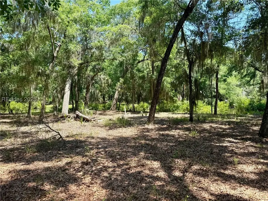 25 Carnoustie Ct, Daufuskie Island, SC 29915 - Image #3