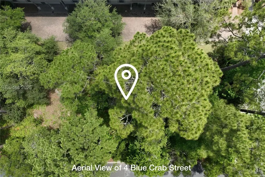 4 Blue Crab Street, Bluffton, SC 29910 - Image #3