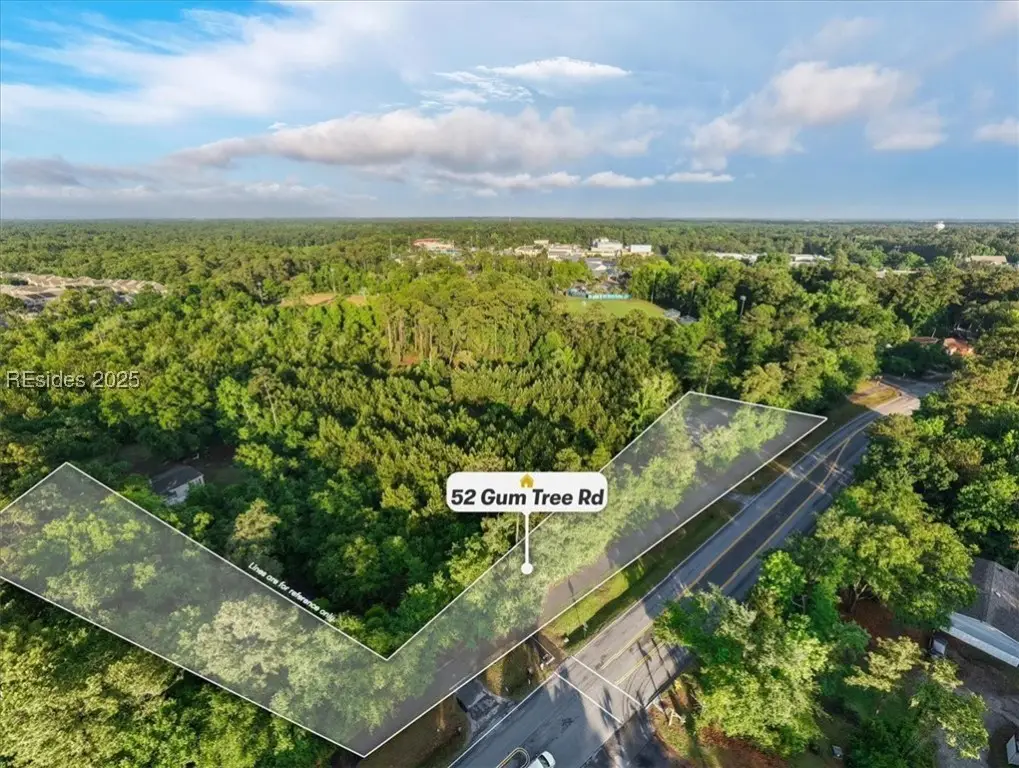 52 Gum Tree Road, Hilton Head Island, SC 29926 - Image #1