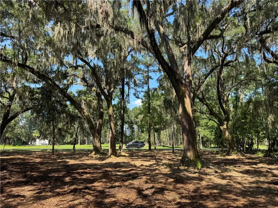 TBD Broadview Dr, Ridgeland, SC 29936 - Image #2